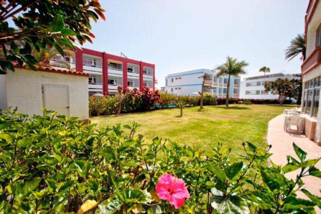 Apartamento Bonito 103 普拉亚戴尔雷安格莱斯 外观 照片